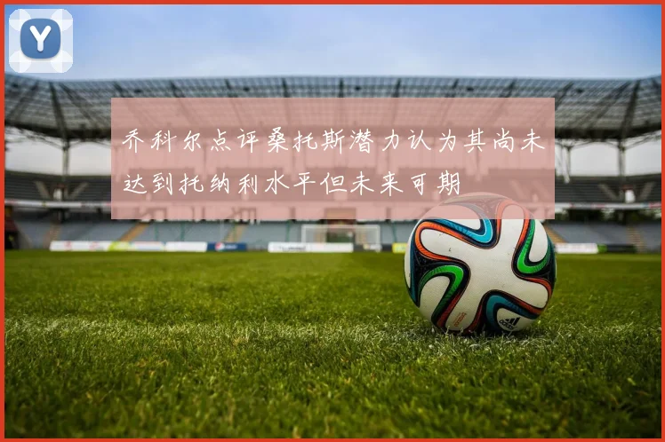 乔科尔点评桑托斯潜力认为其尚未达到托纳利水平但未来可期