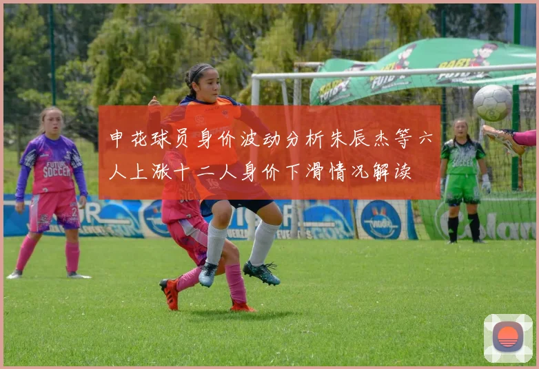 申花球员身价波动分析朱辰杰等六人上涨十二人身价下滑情况解读