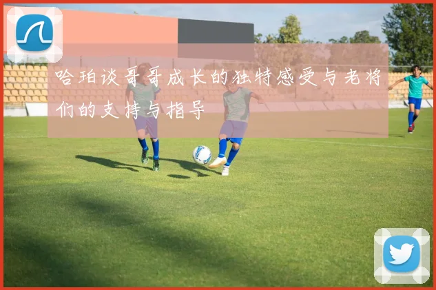 哈珀谈哥哥成长的独特感受与老将们的支持与指导