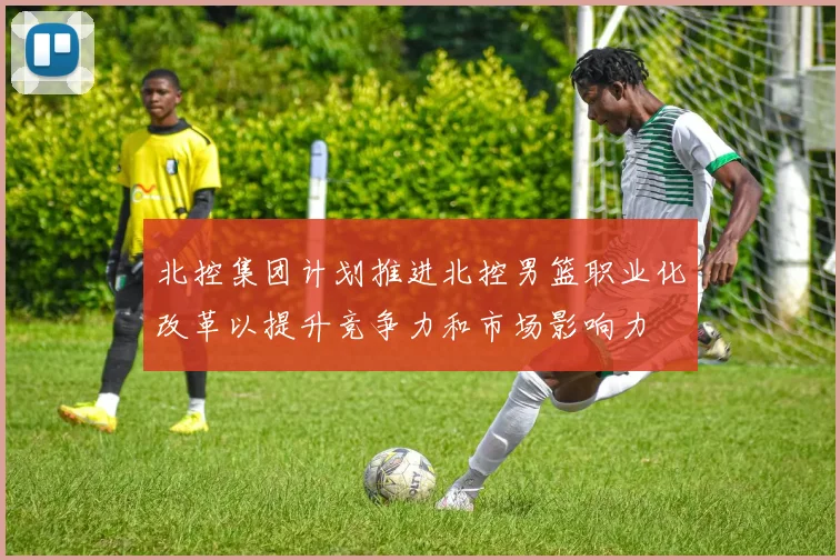 北控集团计划推进北控男篮职业化改革以提升竞争力和市场影响力